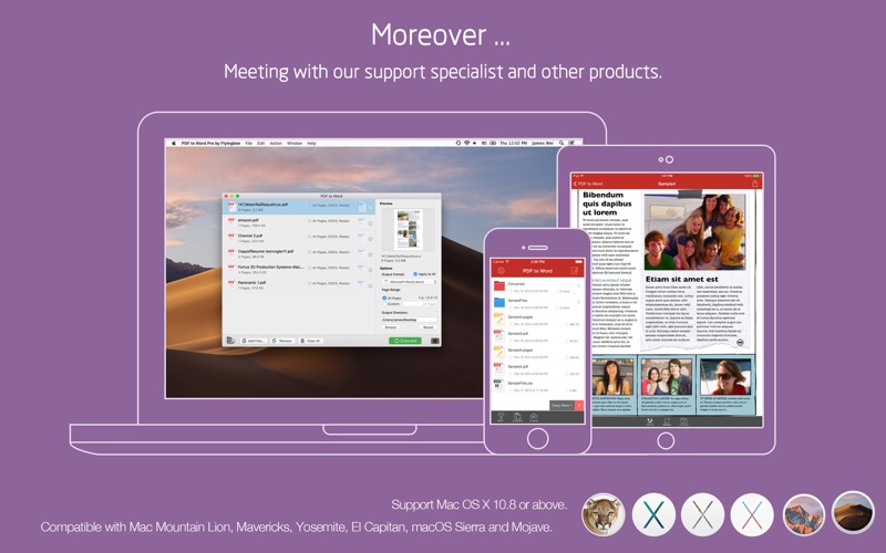 PDF转Word_飞蜂PDF转换器全能格式转换器
