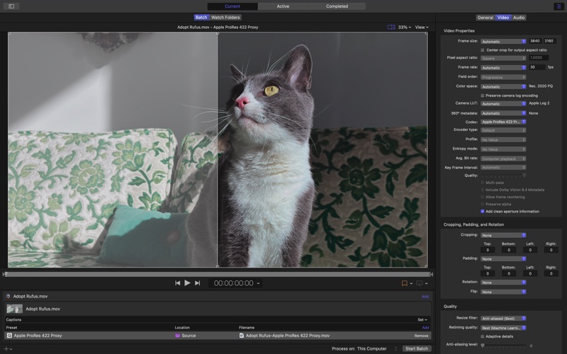 Compressor编码媒体