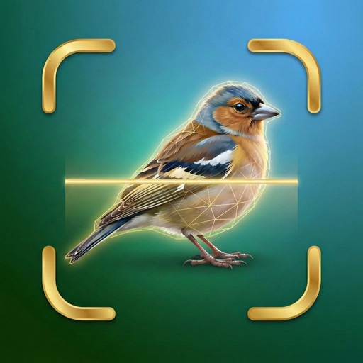 鸟类识别_拍照扫描百科专家