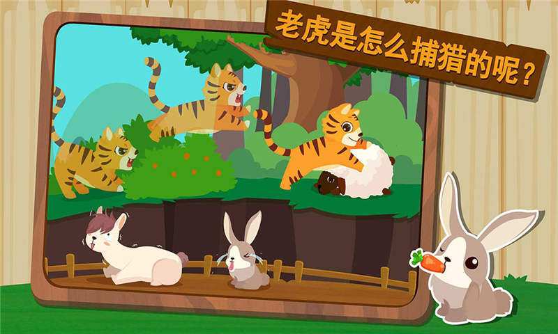 森林动物
