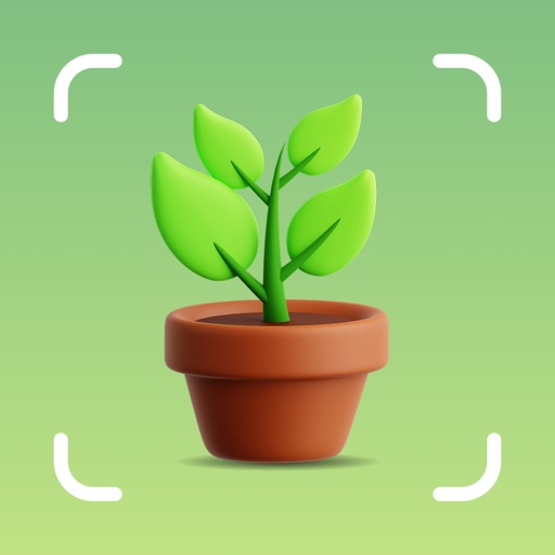 植物识别AI扫描与养护